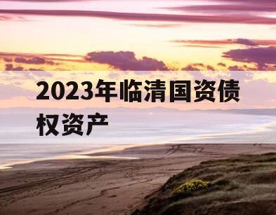 2023年临清国资债权资产