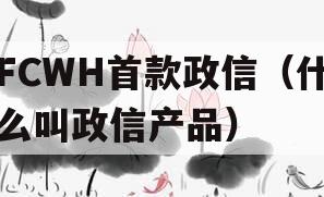 FCWH首款政信（什么叫政信产品）