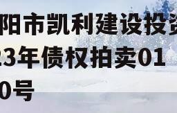 资阳市凯利建设投资2023年债权拍卖01-10号