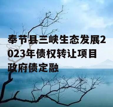 奉节县三峡生态发展2023年债权转让项目政府债定融