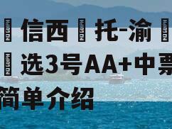 山‮信西‬托-渝‮优债‬选3号AA+中票的简单介绍