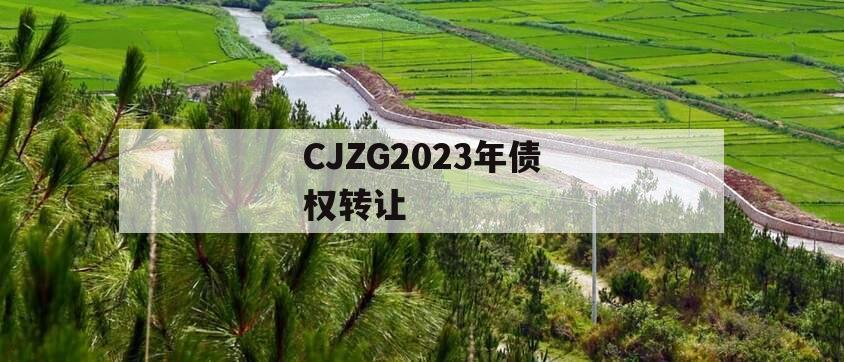 CJZG2023年债权转让