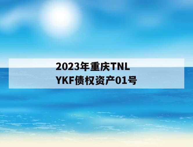 2023年重庆TNLYKF债权资产01号