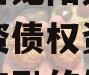 关于四川龙阳天府新区建设投资债权资产转让政府债定融的信息