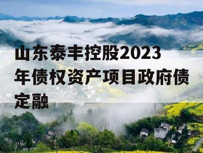 山东泰丰控股2023年债权资产项目政府债定融