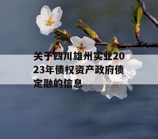 关于四川雄州实业2023年债权资产政府债定融的信息