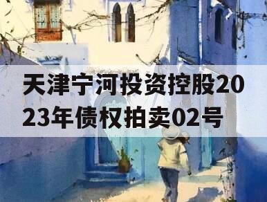 天津宁河投资控股2023年债权拍卖02号