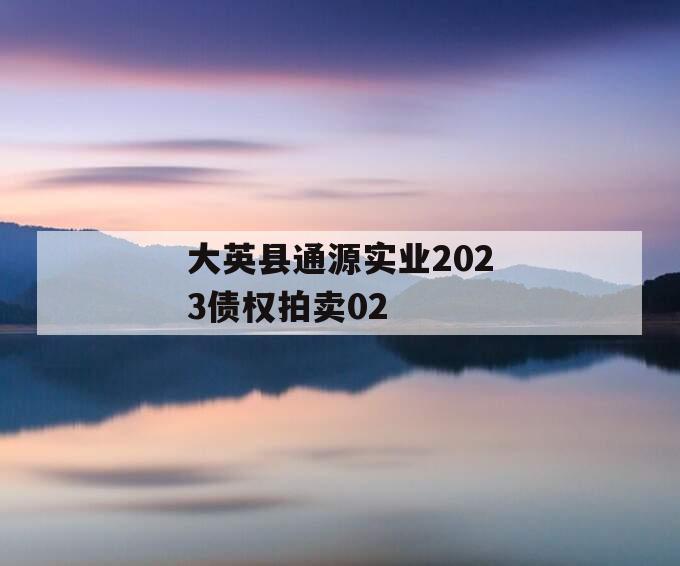 大英县通源实业2023债权拍卖02