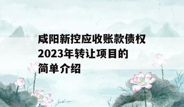 咸阳新控应收账款债权2023年转让项目的简单介绍