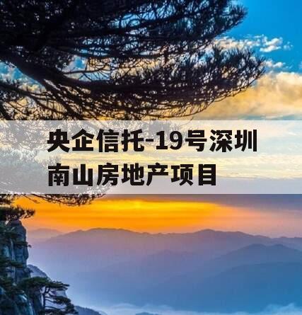 央企信托-19号深圳南山房地产项目