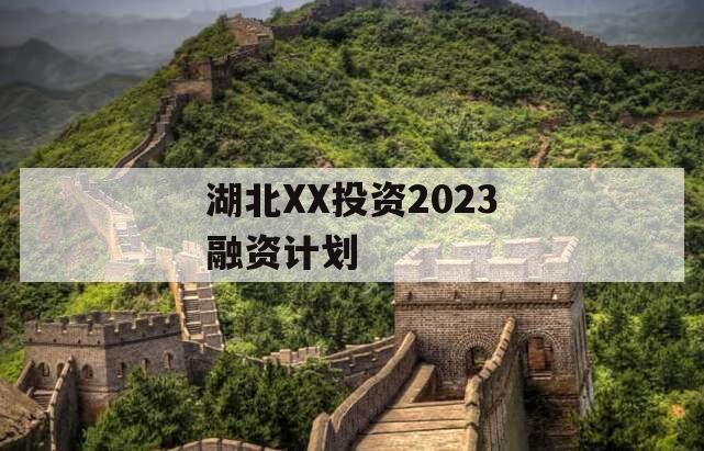 湖北XX投资2023融资计划