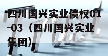 四川国兴实业债权01-03（四川国兴实业集团）