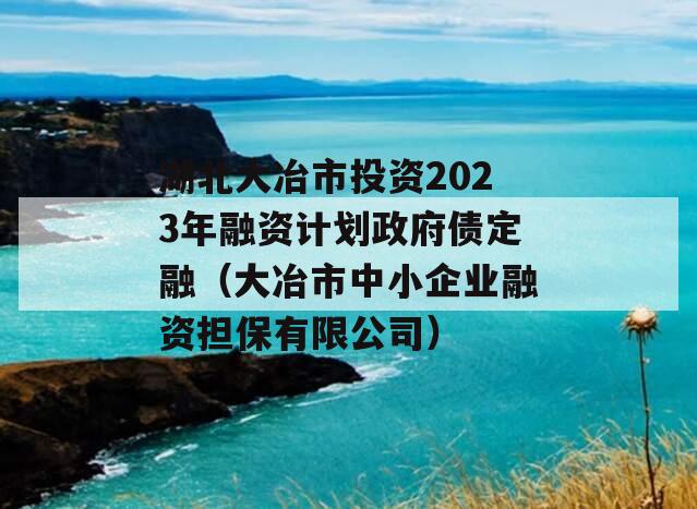 湖北大冶市投资2023年融资计划政府债定融（大冶市中小企业融资担保有限公司）