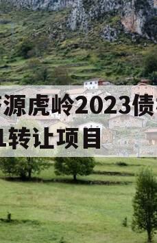 济源虎岭2023债权01转让项目