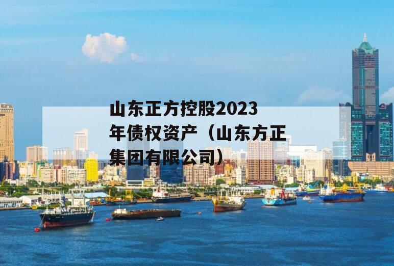 山东正方控股2023年债权资产（山东方正集团有限公司）