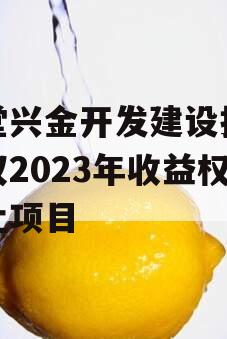 金堂兴金开发建设投资债权2023年收益权转让项目