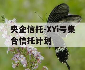 央企信托-XYi号集合信托计划