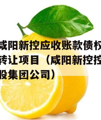 咸阳新控应收账款债权转让项目（咸阳新控控股集团公司）