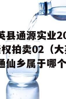 大英县通源实业2023债权拍卖02（大英县通仙乡属于哪个镇）