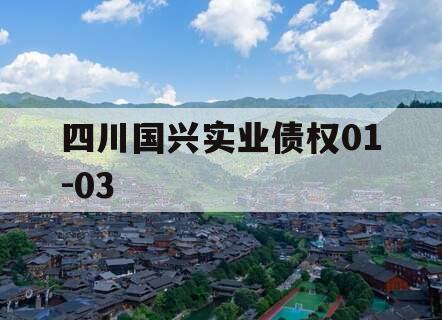 四川国兴实业债权01-03