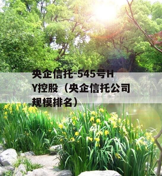 央企信托-545号HY控股（央企信托公司规模排名）