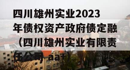 四川雄州实业2023年债权资产政府债定融（四川雄州实业有限责任公司 aa+）