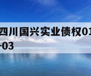 四川国兴实业债权01-03