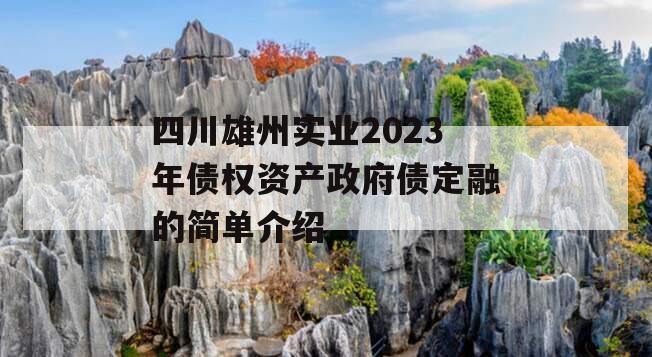 四川雄州实业2023年债权资产政府债定融的简单介绍