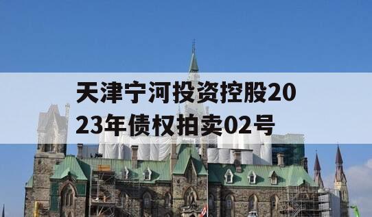 天津宁河投资控股2023年债权拍卖02号