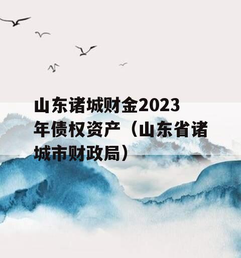 山东诸城财金2023年债权资产（山东省诸城市财政局）