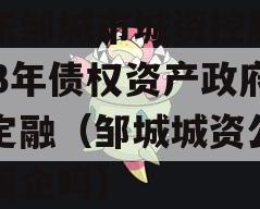 山东邹城市城资控股2023年债权资产政府债定融（邹城城资公司是国企吗）