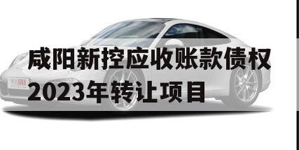 咸阳新控应收账款债权2023年转让项目