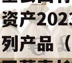 四川金堂县国有资产投资经营资产2023年转让系列产品（金堂县国投公司董事长）