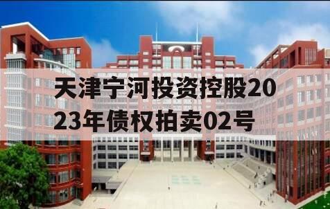 天津宁河投资控股2023年债权拍卖02号