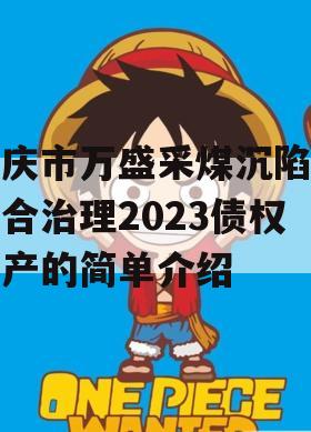 重庆市万盛采煤沉陷区综合治理2023债权资产的简单介绍