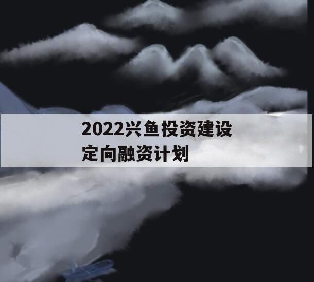 2022兴鱼投资建设定向融资计划