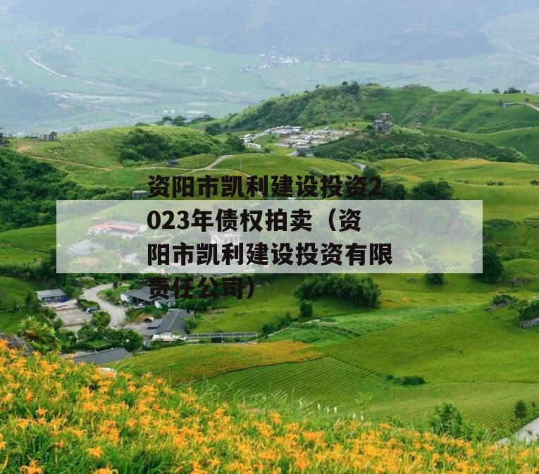 资阳市凯利建设投资2023年债权拍卖（资阳市凯利建设投资有限责任公司）