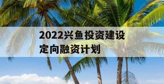 2022兴鱼投资建设定向融资计划