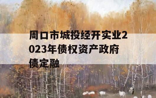 周口市城投经开实业2023年债权资产政府债定融