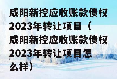 咸阳新控应收账款债权2023年转让项目（咸阳新控应收账款债权2023年转让项目怎么样）