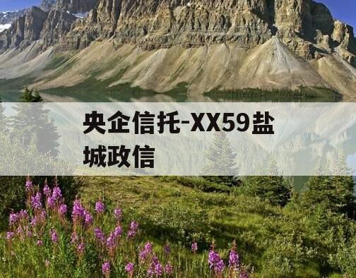 央企信托-XX59盐城政信