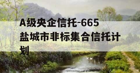 A级央企信托-665盐城市非标集合信托计划