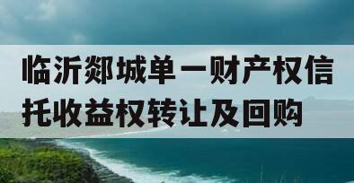 临沂郯城单一财产权信托收益权转让及回购