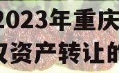 关于2023年重庆TN债权资产转让的信息