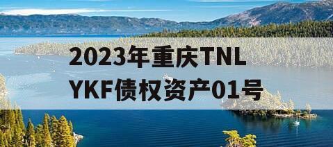 2023年重庆TNLYKF债权资产01号