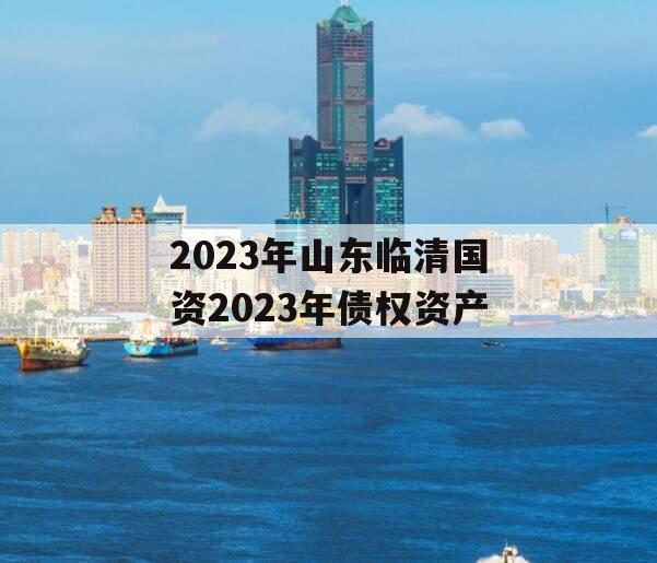 2023年山东临清国资2023年债权资产