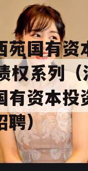 洛阳西苑国有资本2023年债权系列（洛阳西苑国有资本投资有限公司招聘）