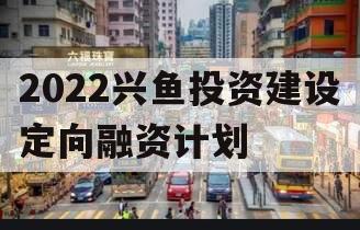 2022兴鱼投资建设定向融资计划