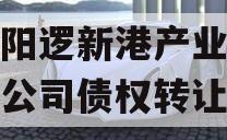 武汉阳逻新港产业投资有限公司债权转让计划