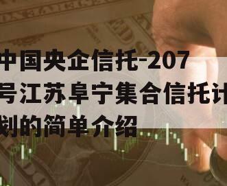 中国央企信托-207号江苏阜宁集合信托计划的简单介绍